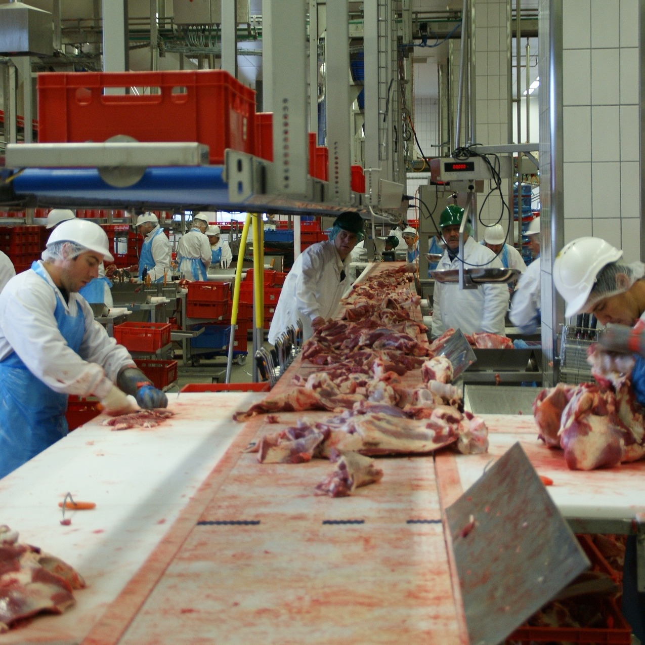 Meat_Proccessing_Plant_Workers_1920.jpg