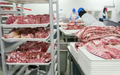 How automated washers contribute to sustainable meat processing.